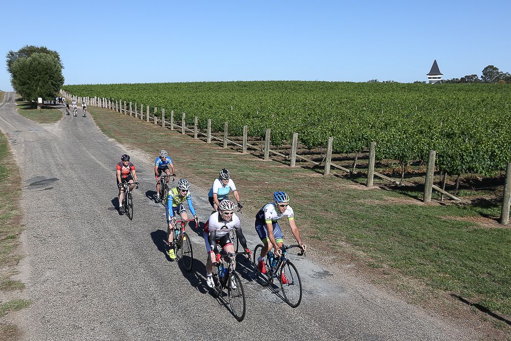 River &amp; Ranges Winery Ride at Mitchelton Winery, Nagambie, Victoria, Australia, Sunday, November, 22, 2015.