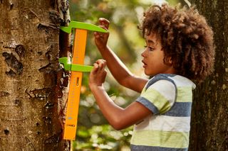 Child playing measuring games on the trunk of a tree