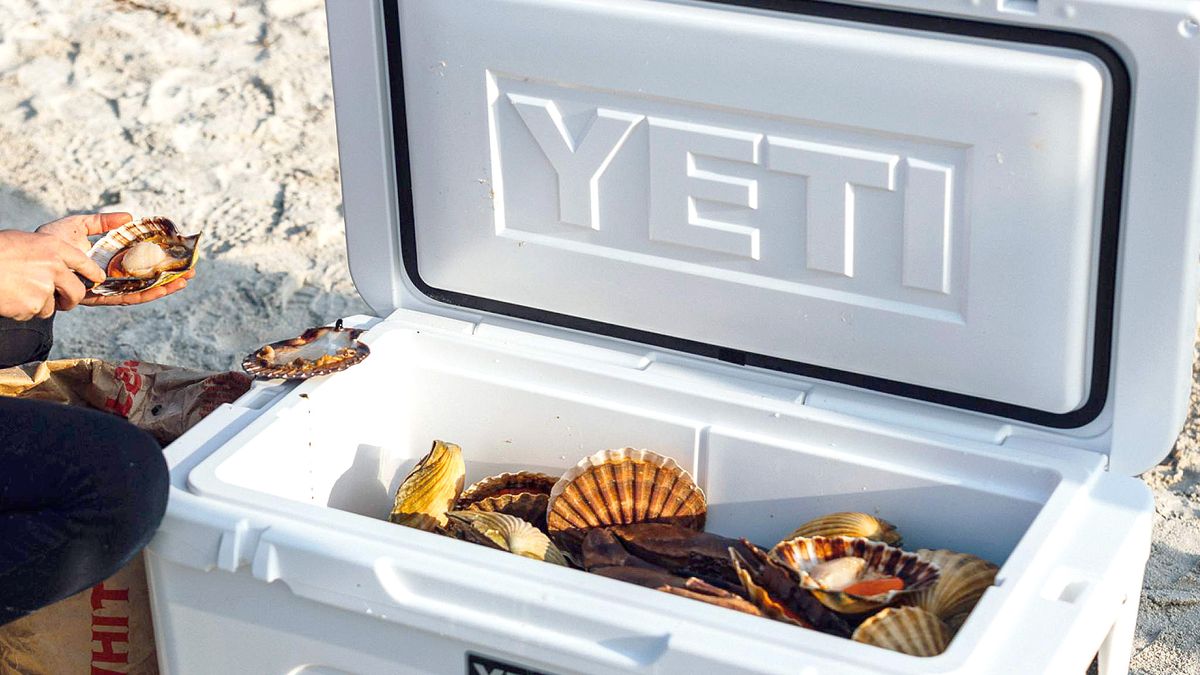 White Yeti Tundra 35 Cooler opened on a sandy beach with recently harvested clams inside