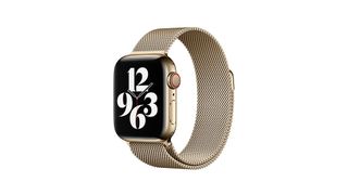 Gold Milanese Loop