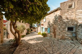 A cobblestone alley in Rovinj, Istria