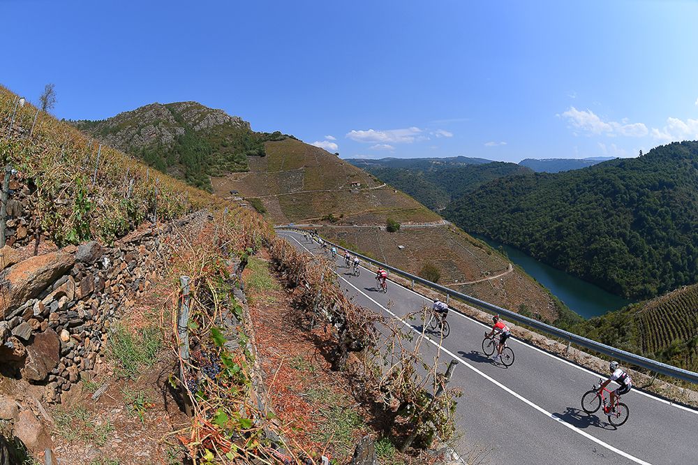 The peloton in action during stage 6 at the Vuelta