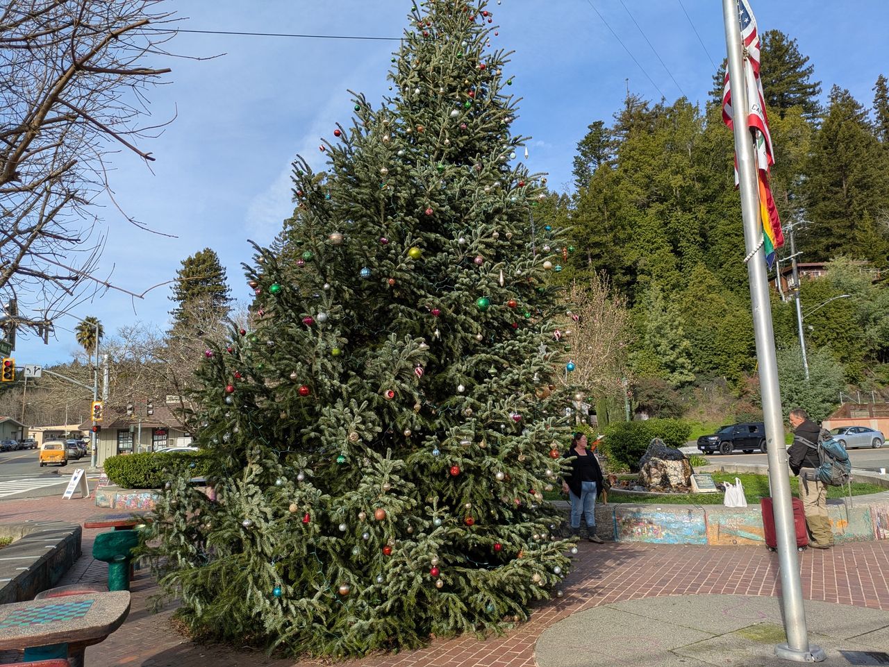 Christmas tree photo by Pixel 8a