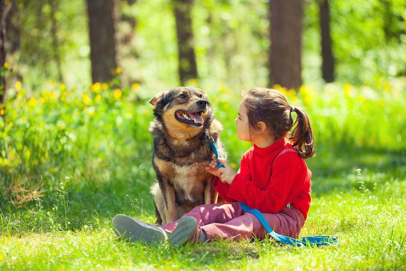 A little girl talks to her dog.