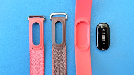 Close-up of the Fitbit Air