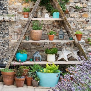 corner of garden with potted plant stone wall and lantern