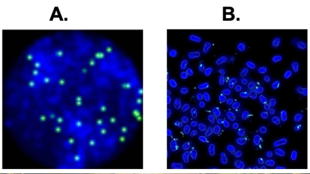 A real image beside an AI-generated image of microscopic phenomena 