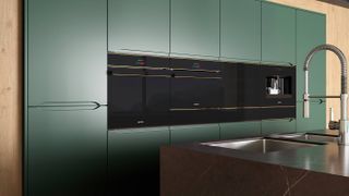 built in steam ovens in green contemporary kitchen