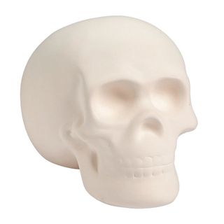 Craft skull