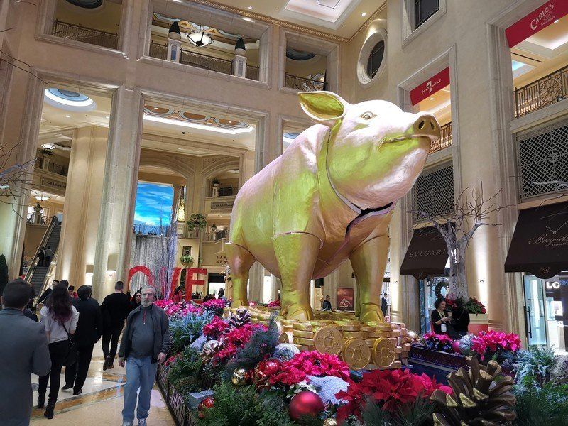 Honor View 20 photo sample