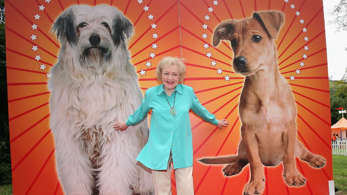 Betty White attends Old Navy&#039;s search for a new canine mascot