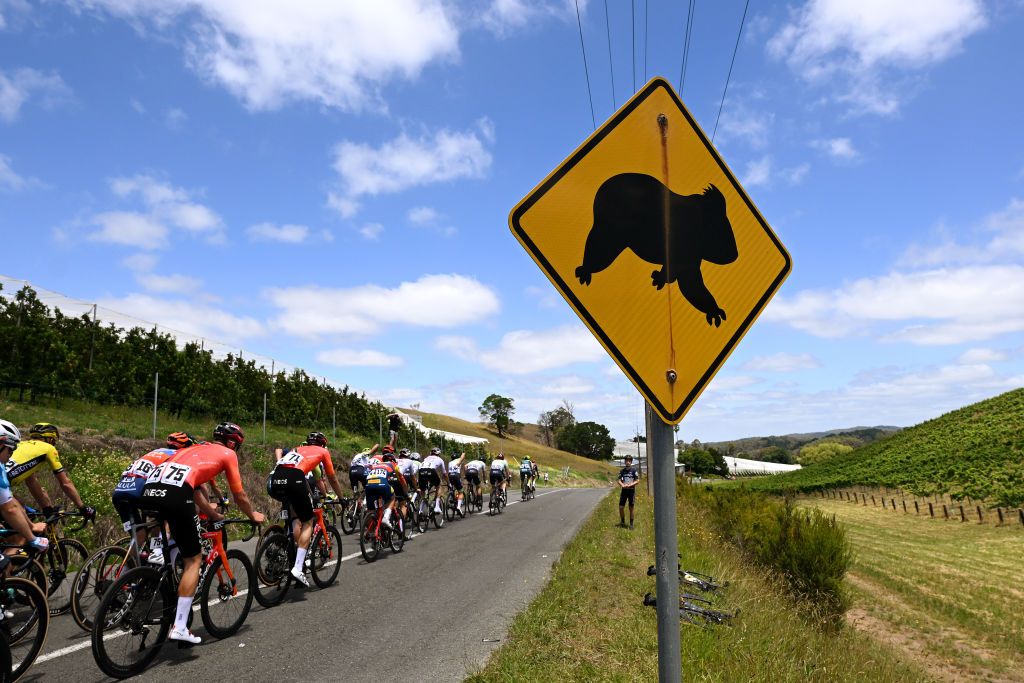 Peloton is in full chase mode to close down the gap to the break