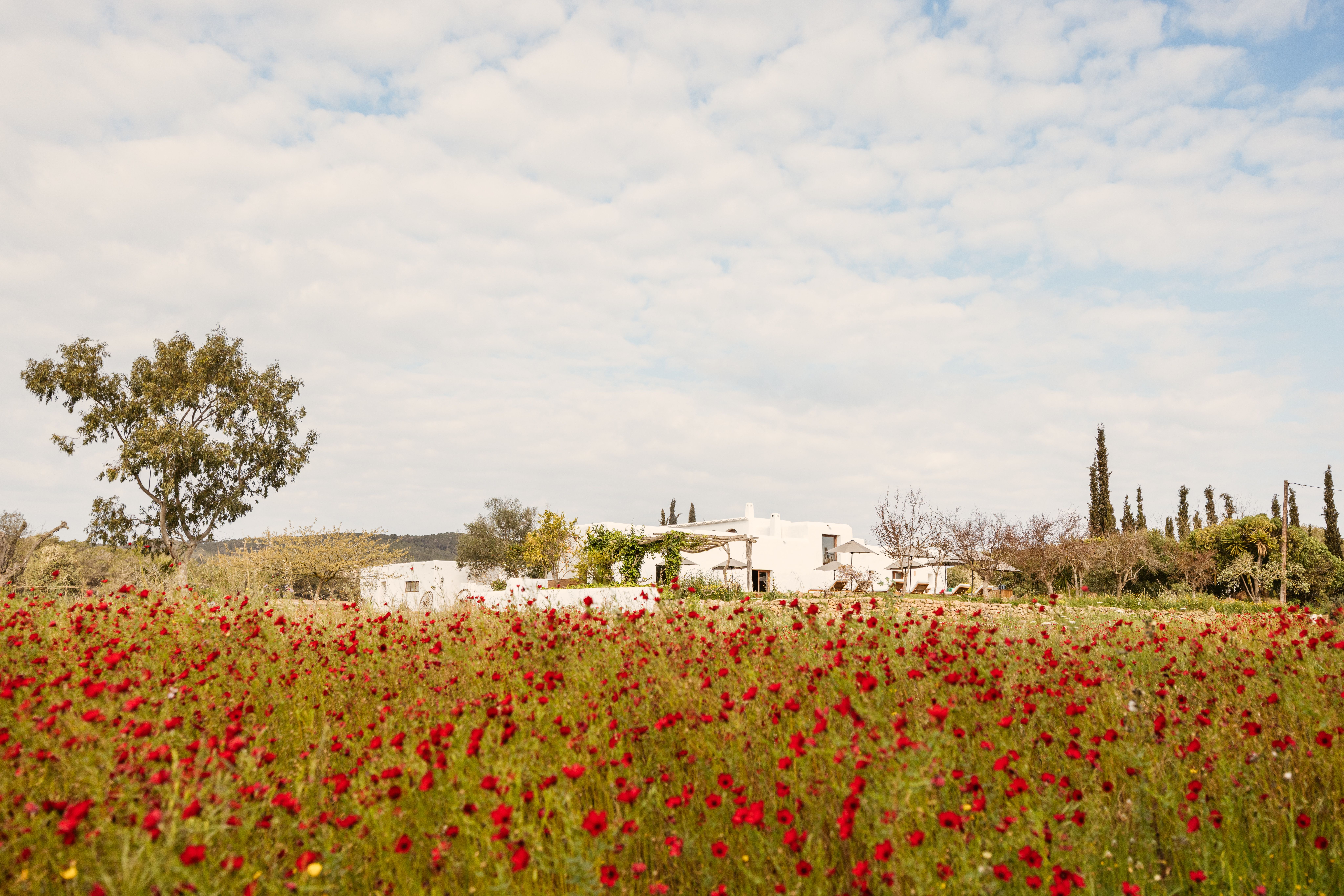 do luxury hotels need a farmer in residence
