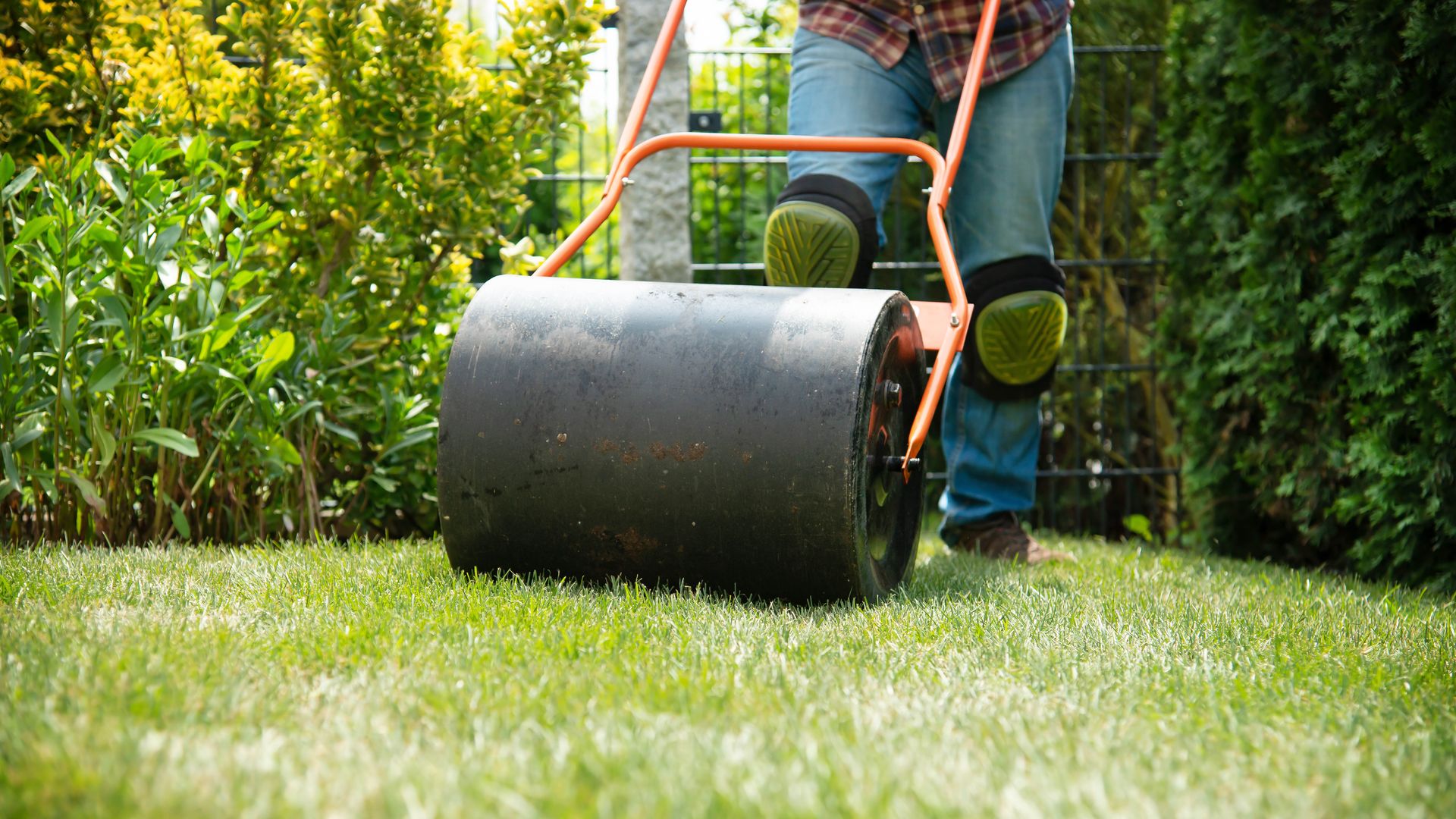 Should you roll your lawn? Here’s what the experts think | Tom's Guide