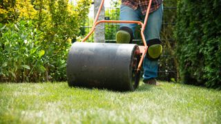 A lawn roller being pushed on the grass
