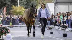 Pau Horse Trials trot-up Xanthe Goldsack with Hi Tech