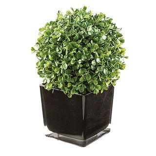 short faux boxwood cube