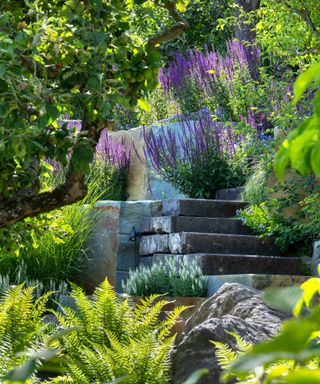 layered planting with ferns, perennials and grasses beside stone steps in a sloping garden