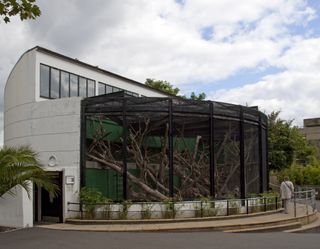 Gorilla roundhouse at London Zoo