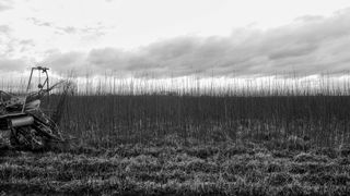 Black and white photograph showing a farmer landscape