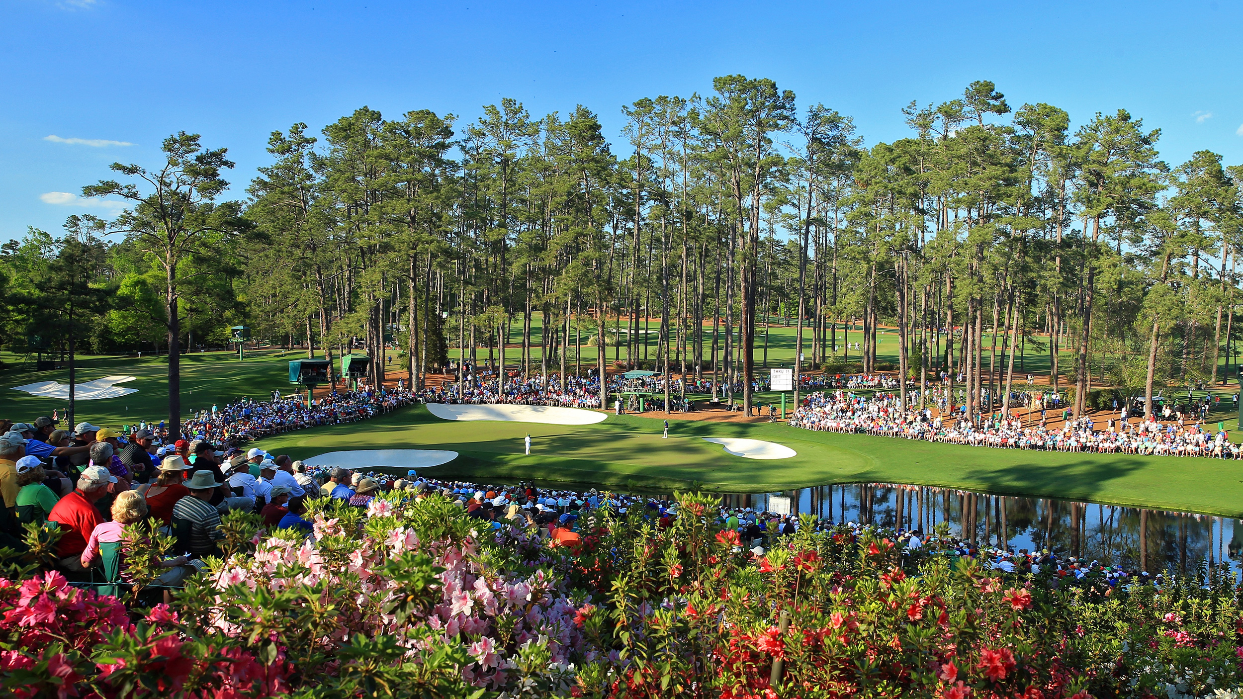 Masters leaderboard: Play suspended as huge tree falls to the ground in  scary scene, Golf, Sport