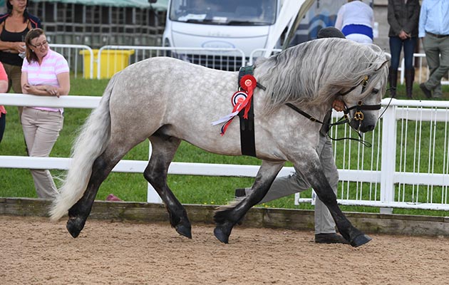 Midland Counties Show 02 06 2018