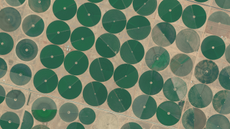 Satellite view of irrigated circular fields in Saudi Arabia