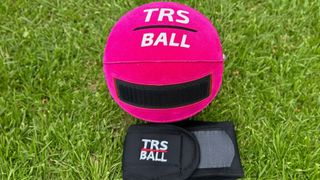 Photo of the TRS Ball