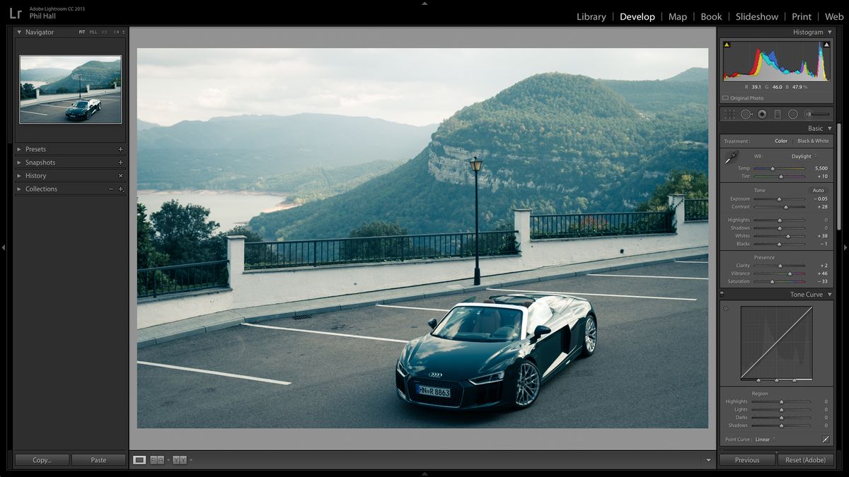 This is the file before any specific shadow or highlight recovery had been applied