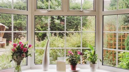 Rose bouquet and pot plants on bay window in a home
