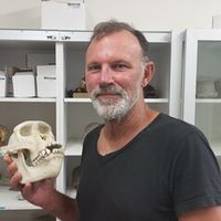 Stephen Wroe's avatar