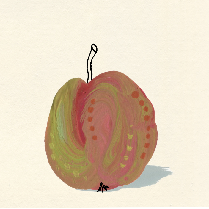 Colour illustration of a heritage apple