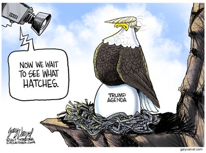 Political Cartoon U.S. Trump agenda hatching