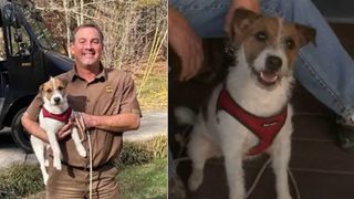 UPS driver delivers lost dog