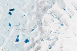 Satellite image of melt ponds on the Greenland ice sheet