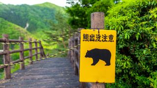 A yellow bear warning sign with Japanese writing in the woods