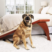 PetSafe CozyUp Bed Ramp for Dogs and Cats RRP: $199.99 | Now: $149.95 | Save: $50.04 (25%)