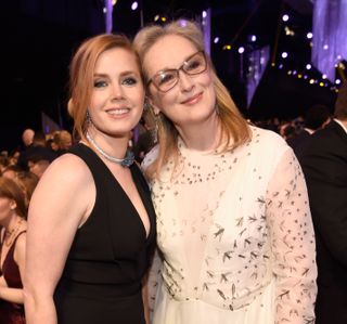 LOS ANGELES, CA - JANUARY 29: Actors Amy Adams (L) and Meryl Streep pose during The 23rd Annual Screen Actors Guild Awards at The Shrine Auditorium on January 29, 2017 in Los Angeles, California. 26592_011 (Photo by Kevin Mazur/Getty Images for TNT)