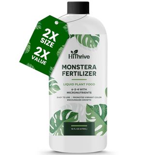 Amazon monstera fertilizer