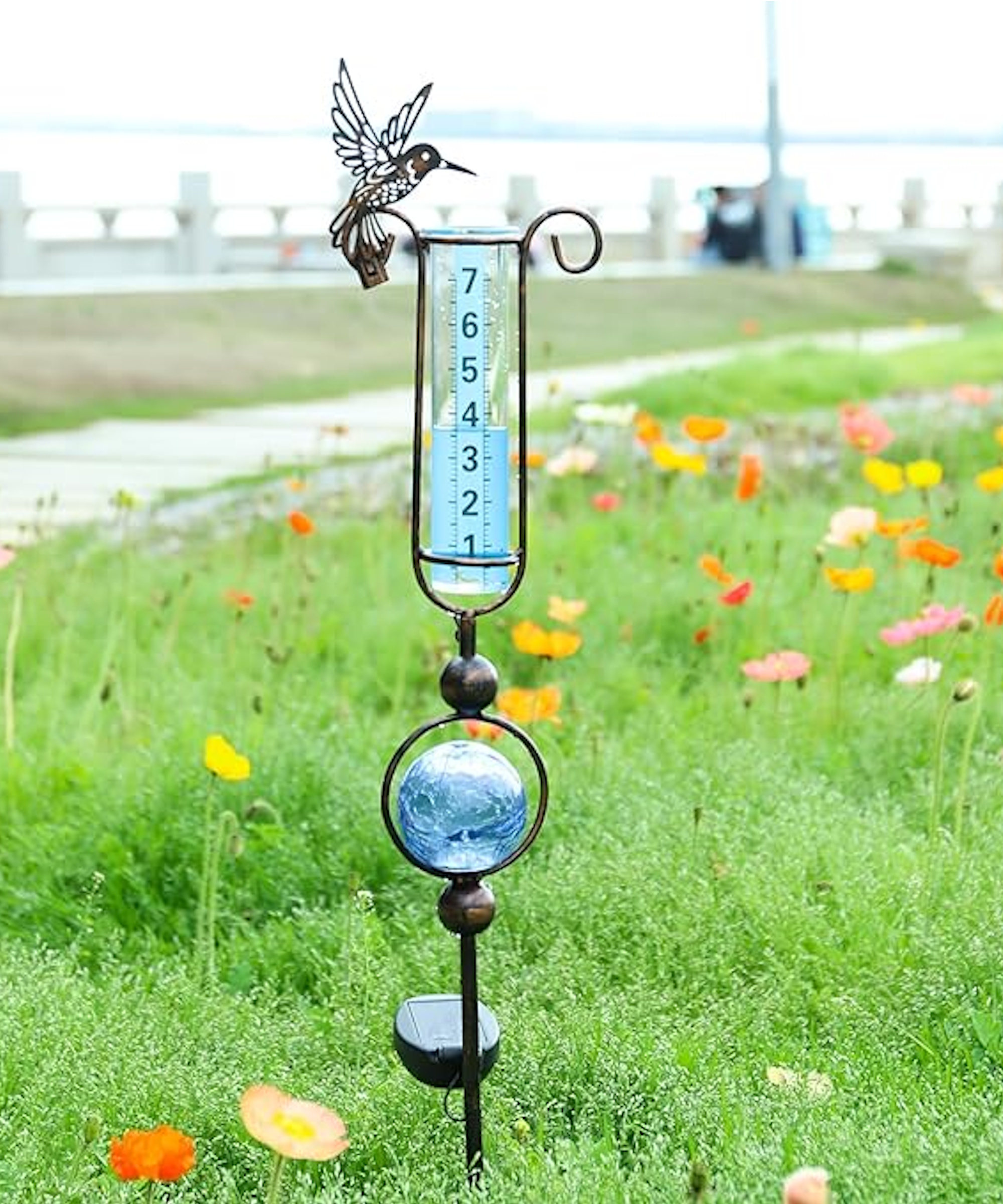 Amazon hummingbird rain gauge