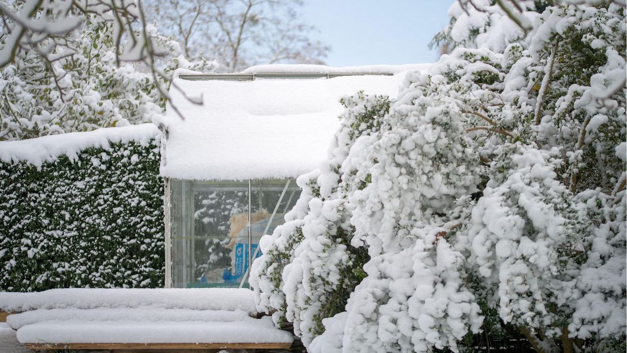 Winter greenhouse with snow on roof