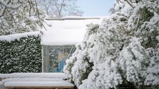 Winter greenhouse with snow on roof