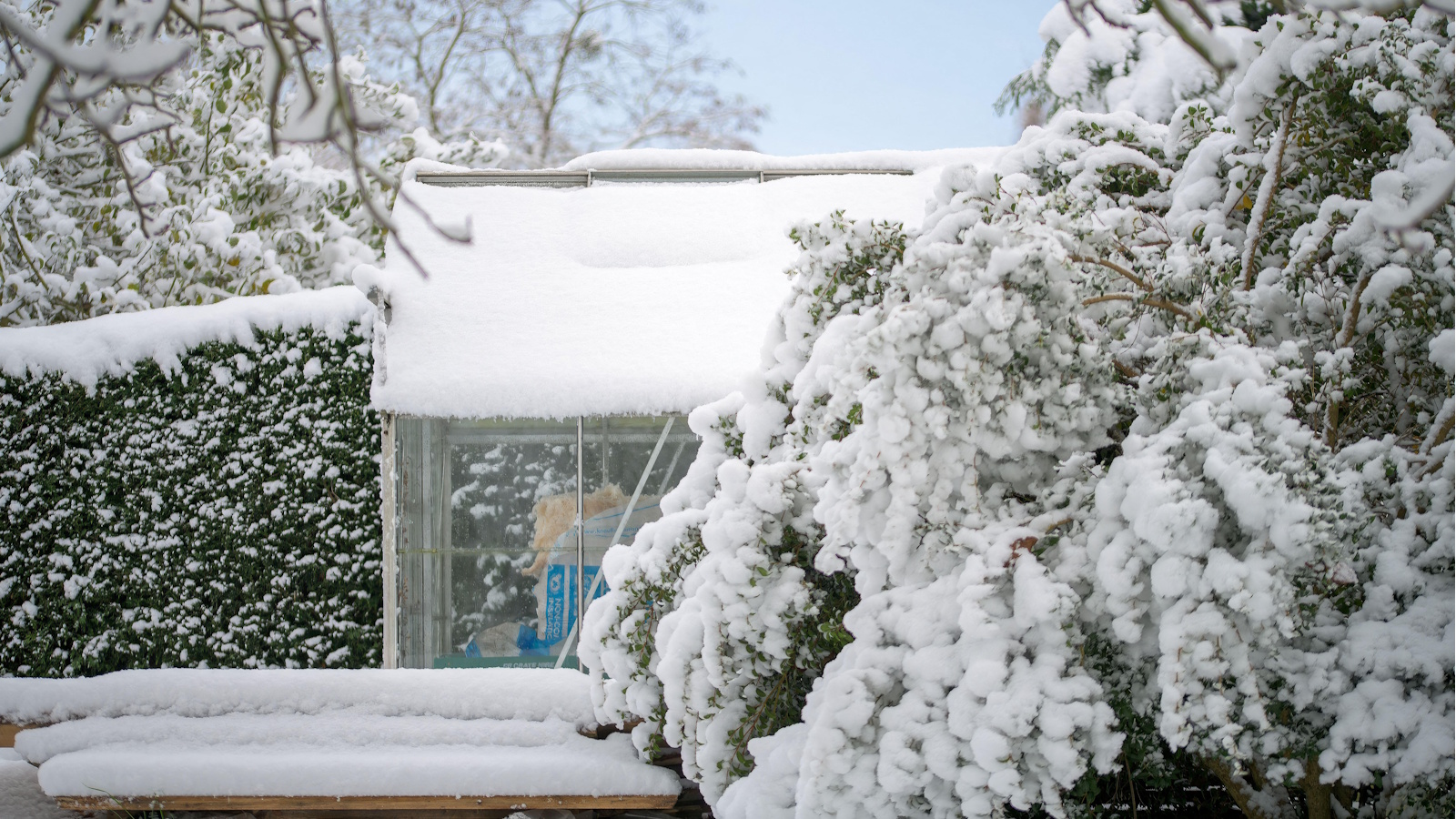 Winter greenhouse with snow on roof