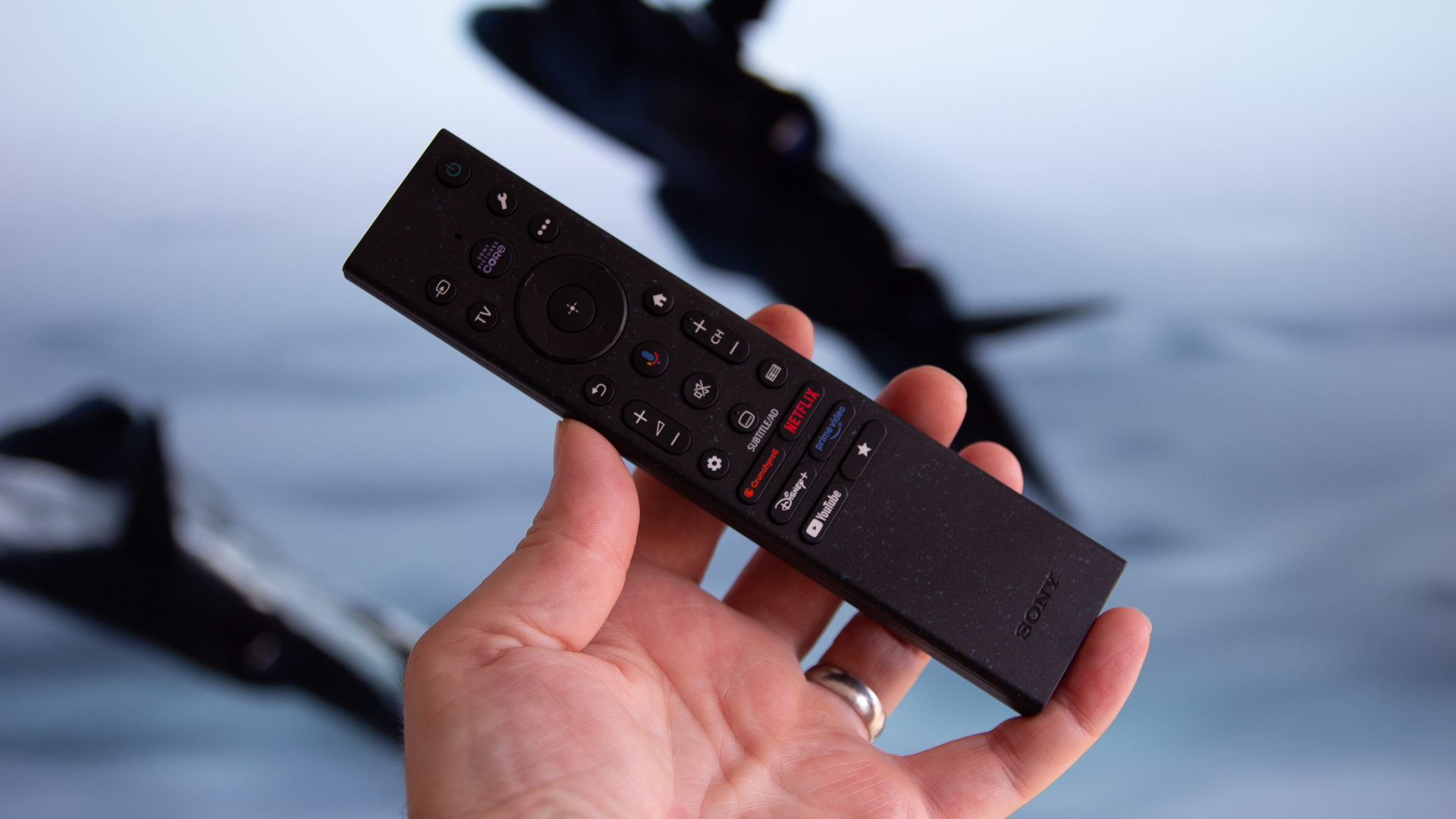 Sony Bravia 9 II