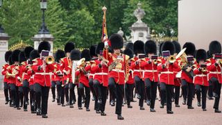 The Guards at Buckingham Palace