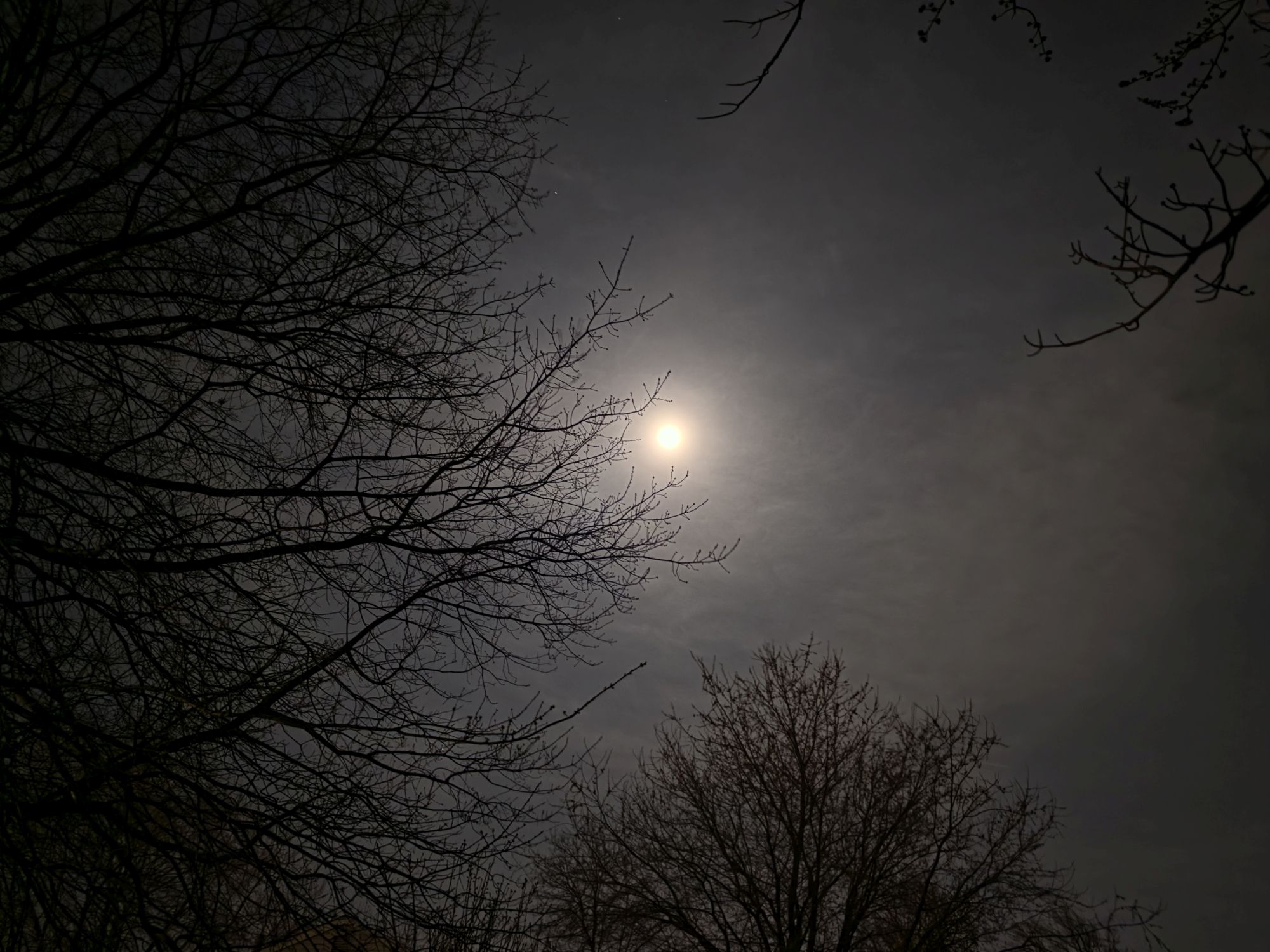 Samsung Galaxy S26 Ultra Standard Mode low light sample.