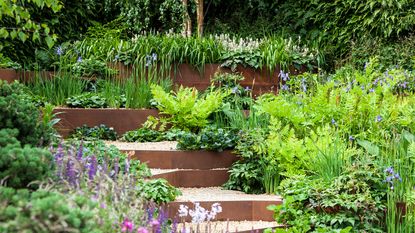 Gravel steps contained by corten steel leading through sloping garden featuring grasses, small conifers, pink and blue perennial