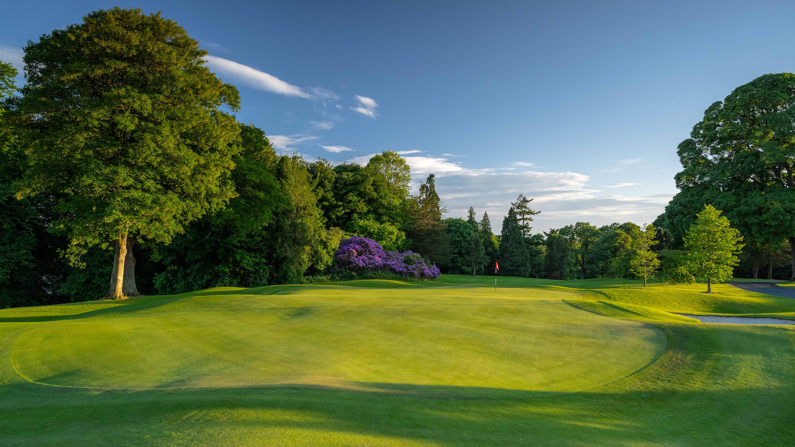 The 9th green at Malone Golf Club
