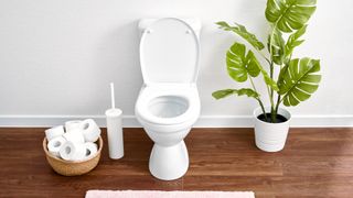 white bathroom with toilet loo roll basket and houseplant