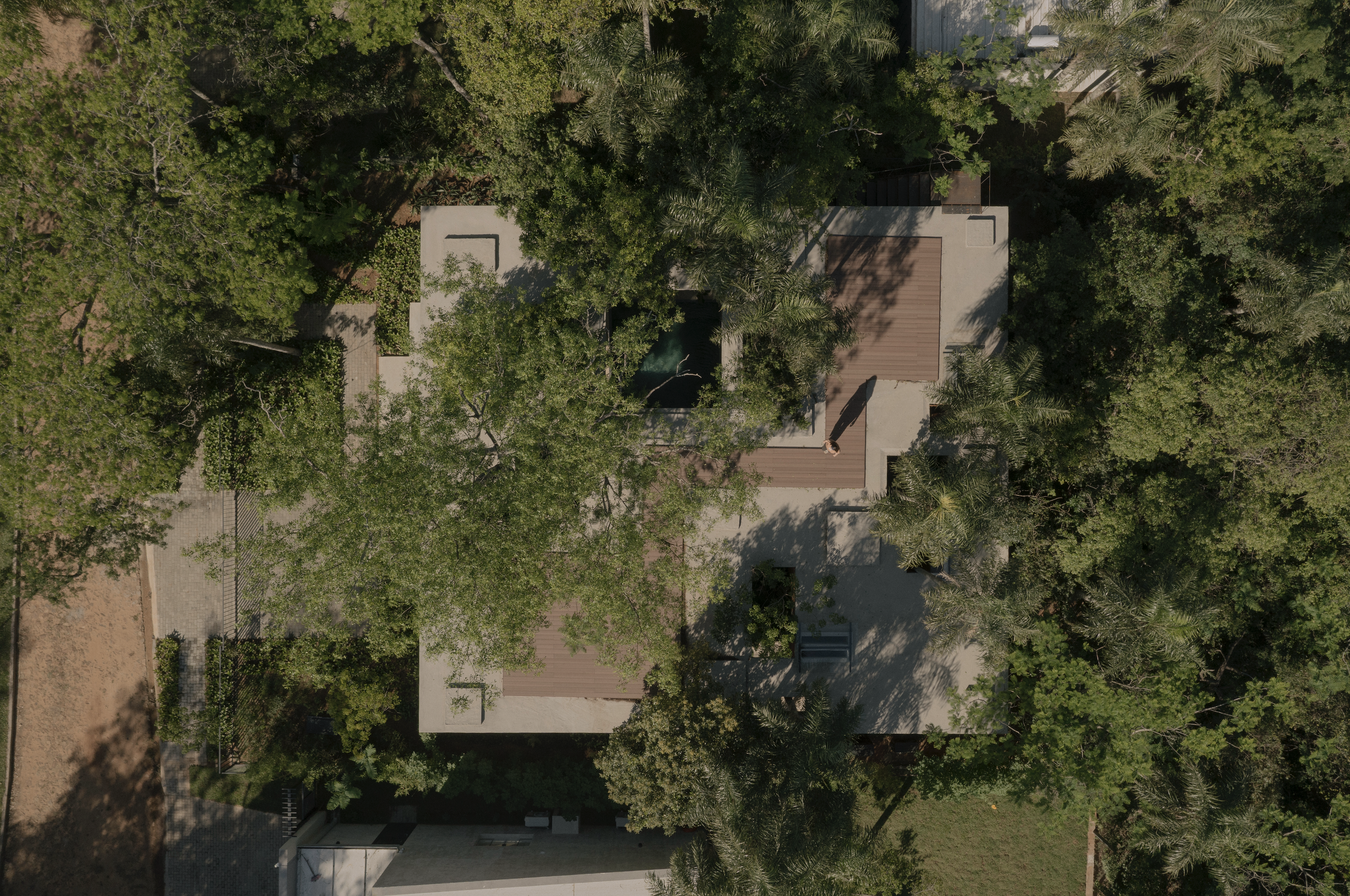 A Forest in the House, Paraguay, by Equipo de Arquitectura